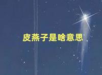 皮燕子是什么意思 小杨哥说皮燕子被封号让人震惊