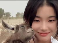 灰太狼的羊个人资料简介 真名惠然被誉为荒漠屠夫