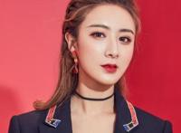 薇娅老公丁海峰身价如何两人怎么认识的 薇娅个人资料情史深扒