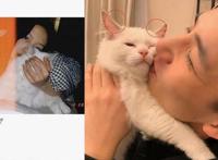 向涵之王安宇怎么在一起的因戏生情真的 向涵之个人资料几岁了