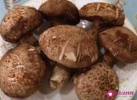 香菇的功效和作用有哪些
