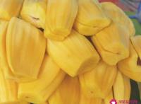 菠萝蜜的作用和功效
