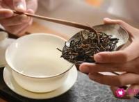 茶叶冲泡方法和技巧