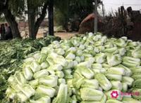 秋分节气吃什么传统食物