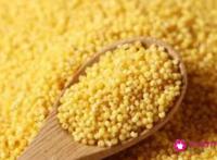 黄米的功效与作用及营养价值