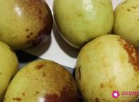 大雪节气吃什么传统食品