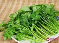 香菜煮水的功效与作用