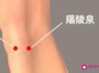 阴陵泉的功效与作用