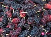 自制桑葚酒的危害