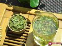龙井茶的喝法