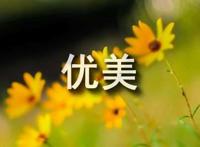 早上好祝福语优美句子
