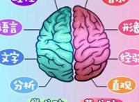 右脑好的人特点