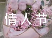 2.14情人节浪漫文案