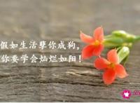句句暖人心的关心话语