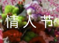 简短的情人节祝福语句
