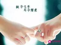 爱情数字密码的大全