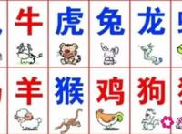 十二生肖男女最佳配对