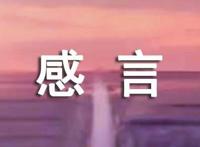 感情感言