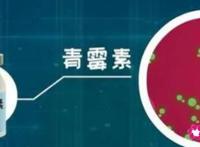 青霉素过敏的原因有哪些