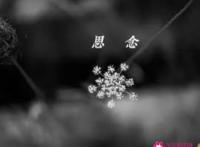 思念却不能相见的短句
