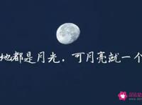 用月亮表达的情话