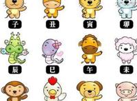 谜语解特生肖