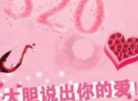 520的含义是什么意思
