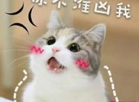 教你如何撒娇