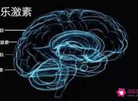 为什么男孩子一亲就会有反应