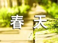 春天唯美话语