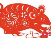 属鼠属相婚配表