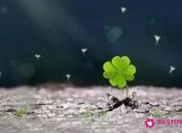 形容知己难求的经典语录