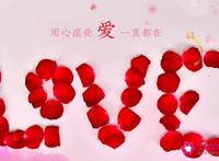 情人节红包数字意义一生一世