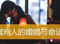 属鸡人的命运和婚姻