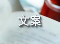 特别现实的文案短句