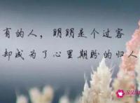 适合所有情绪的句子短句