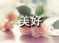 美好一天的心情短语
