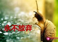 永不放弃的名言