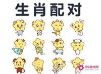 生肖配对表最全