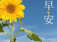 特别暖心的早安语
