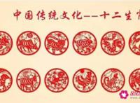 成语解十二生肖