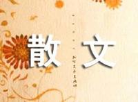 情感散文