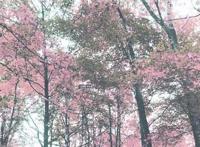 男士秋季护肤应该要注意什么