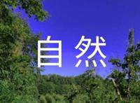 RM宋智孝自然系美女的种种美丽妆容