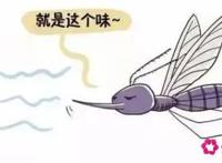 什么颜色的衣服容易被蚊子叮咬