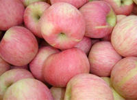 苹果是不是柑橘类水果 苹果属于什么水果