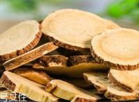 白芷能治尿失禁吗 治疗偏方
