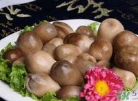 草菇的营养价值 草菇的功效与作用