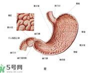 防胃癌的食物有哪些？多吃什么预防胃癌？