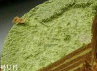 抹茶提拉米苏蛋糕怎么做的 制作步骤